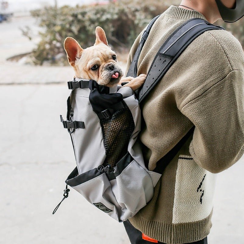 Double Shoulder Portable Dog Carrier - iCaremypet