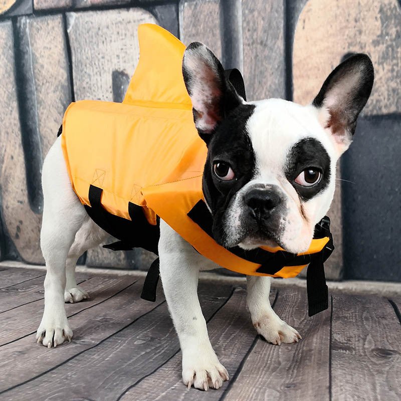 Dog Life Vest Summer Shark Pet Life Jacket - iCaremypet